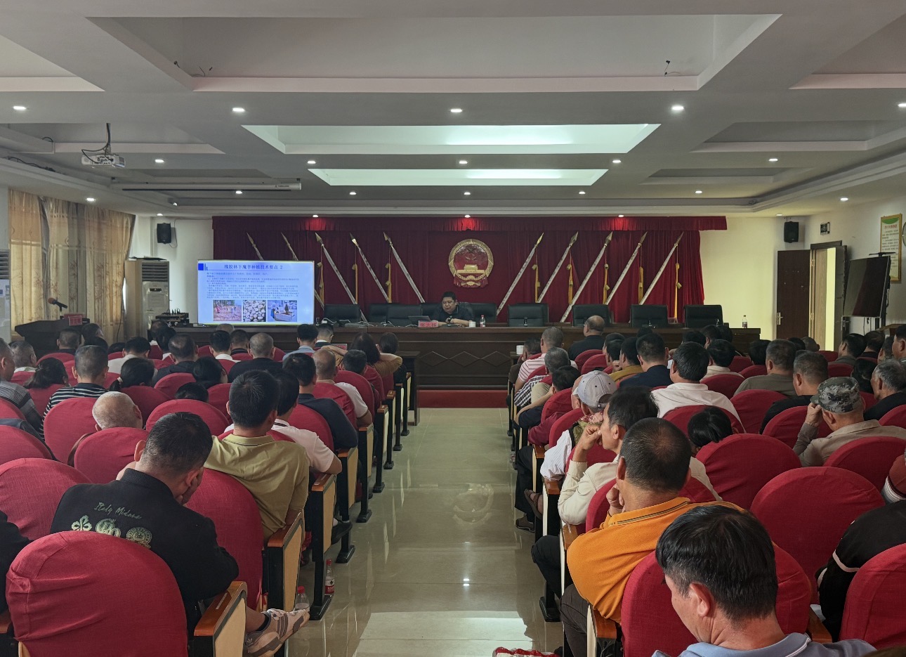 1770882790346328.jpeg IMG_8153.jpeg